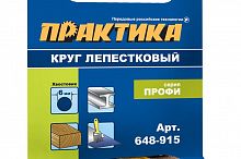 круг лепестковый с оправкой практика 30х15мм, p180, хвостовик 6 мм, серия профи, купить metabo, купить husqvarna, купить bosch, купить makita, купить hitachi, купить hikoki, купить oregon, купить stihl