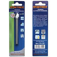 сверло по стеклу практика  ."профи"  v-тип 12 х 90 мм (1шт.) блистер, купить metabo, купить husqvarna, купить bosch, купить makita, купить hitachi, купить hikoki, купить oregon, купить stihl